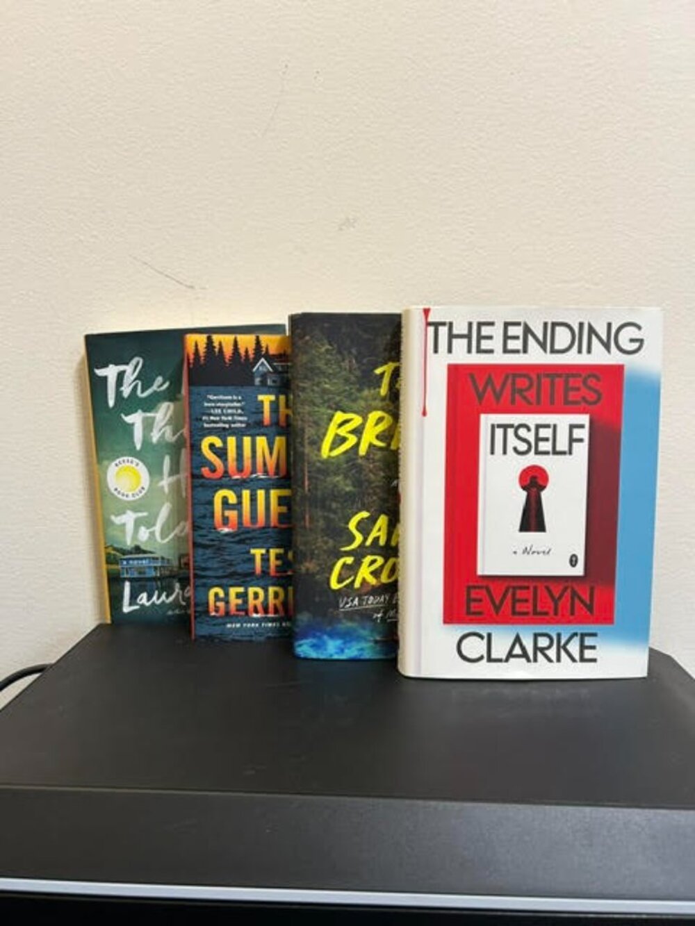 Mystery Thriller Book Bundle Laura Dave Tess Gerritsen 4 Books